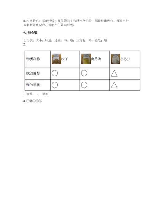 教科版小学科学一年级下册期末测试卷及参考答案（达标题）.docx