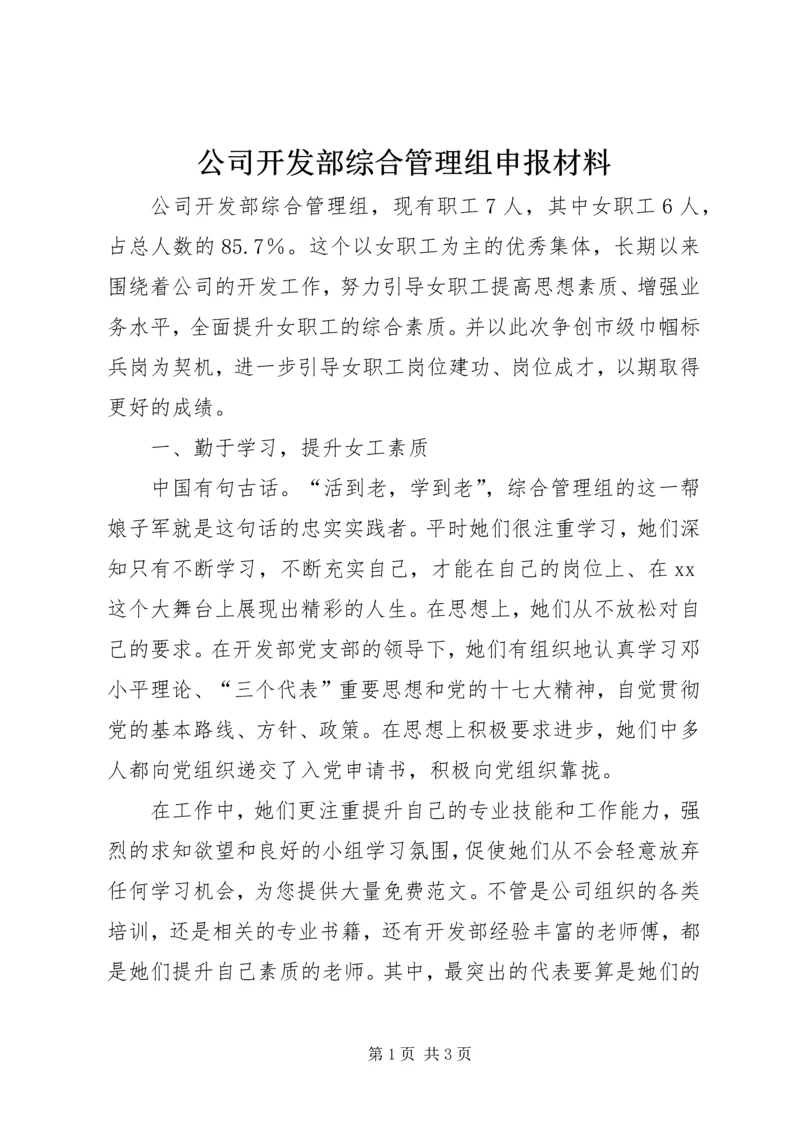 公司开发部综合管理组申报材料.docx