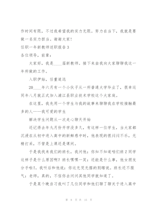 任职一年新教师述职报告.docx