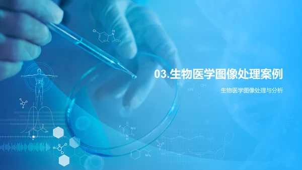 蓝色简约现代生物医学图像PPT模板