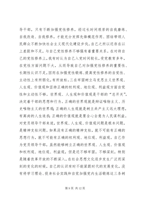 区委书记在区委民主生活会上的发言.docx