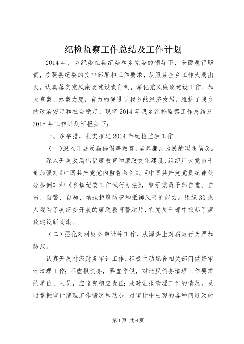 纪检监察工作总结及工作计划.docx