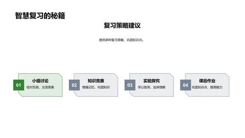 生态系统的奥秘