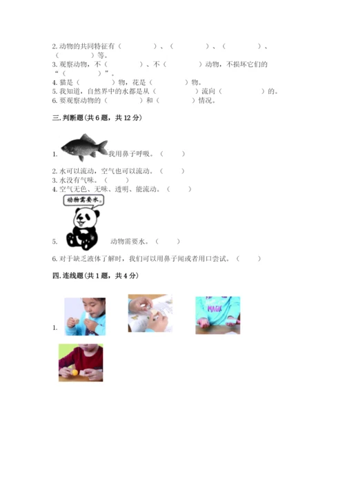 教科版一年级下册科学期末测试卷含完整答案（网校专用）.docx
