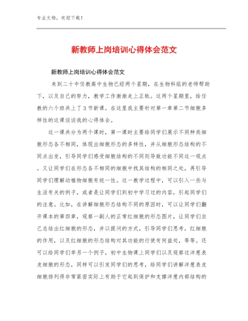 2024年新教师上岗培训心得体会范文优选例文25篇文档汇编.docx