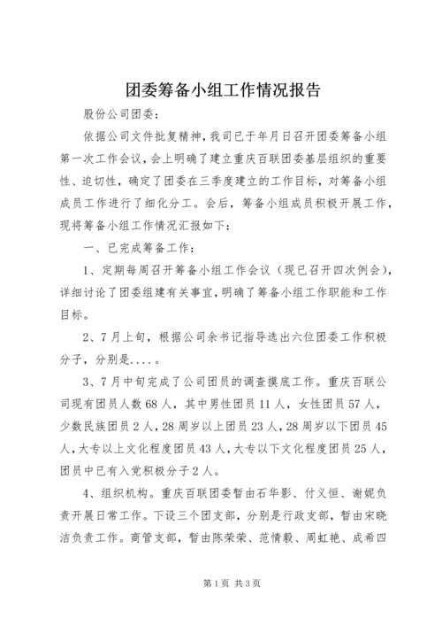 团委筹备小组工作情况报告.docx