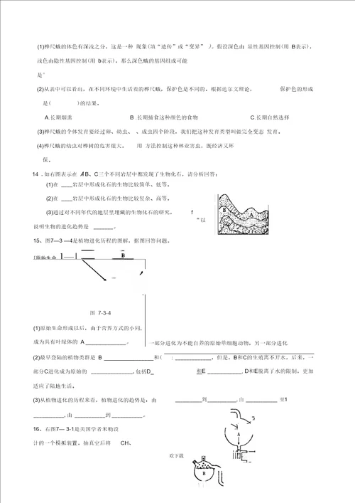 备战中考：生物的起源与进化专题复习
