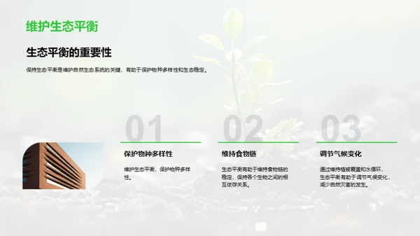 播种绿意 传承希望