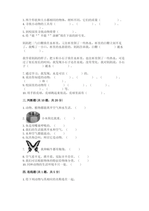 教科版一年级下册科学期末测试卷附参考答案（轻巧夺冠）.docx