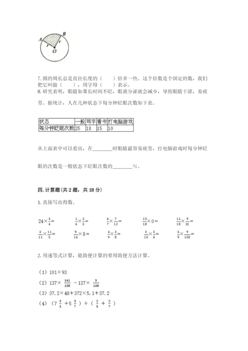 人教版六年级上册数学期末测试卷（典优）word版.docx
