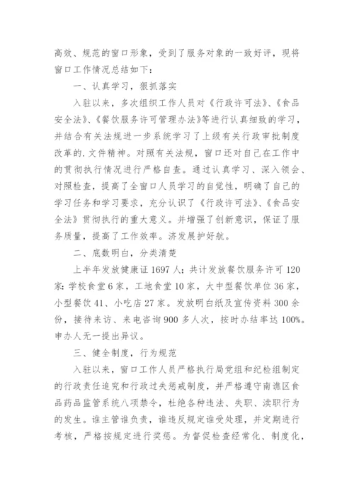 审批窗口个人工作总结.docx