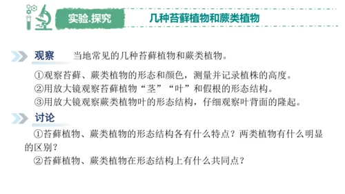 2.1.1藻类、苔藓植物和蕨类植物-七年级生物上学期同步优质课件（人教版2024）(共26张PPT)