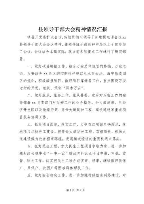 县领导干部大会精神情况汇报.docx