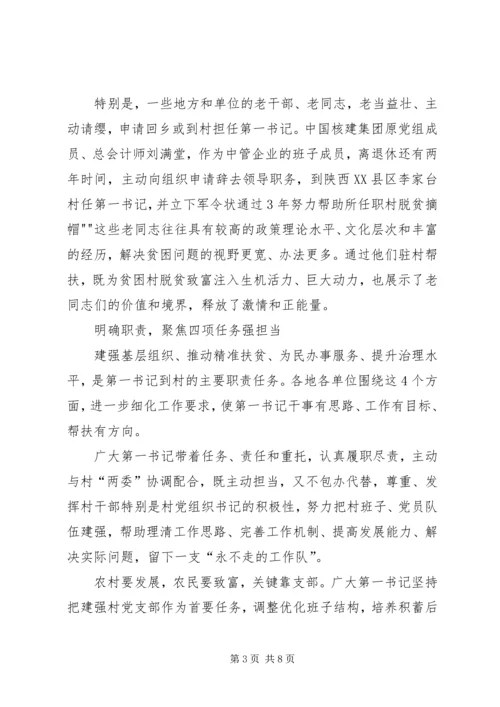 第一书记驻村工作计划 (4).docx