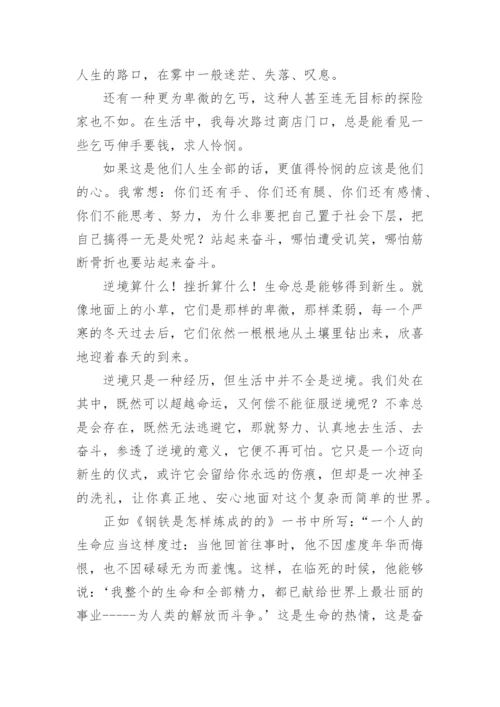 逆境的议论文.docx
