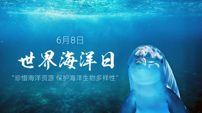 世界海洋日海豚通用PPT模板