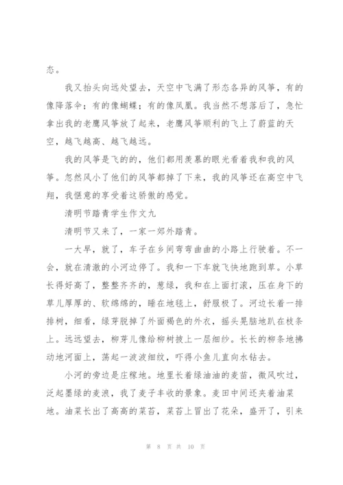清明节踏青学生作文10篇.docx