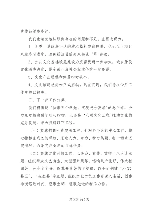 县文广新局年度工作汇报 (4).docx