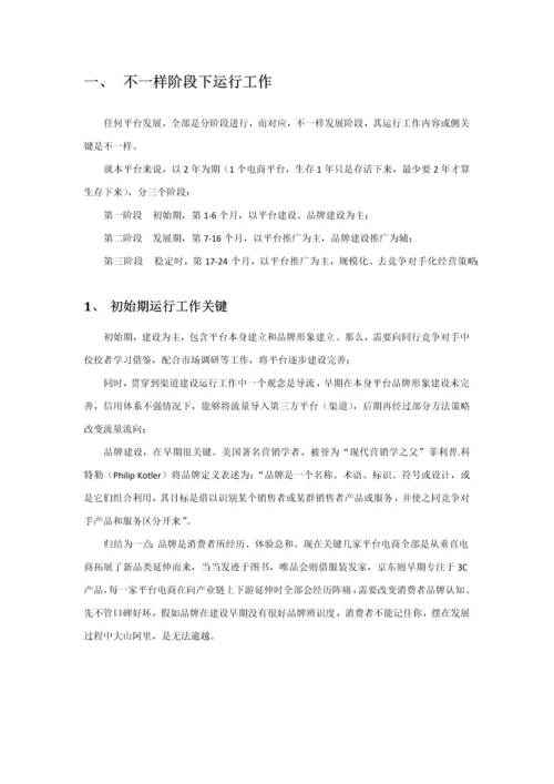 X跨境电商平台运营发展专项方案.docx