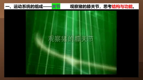 人教版生物八年级上册5.2.1《动物的运动》课件(共27张PPT)+视频素材