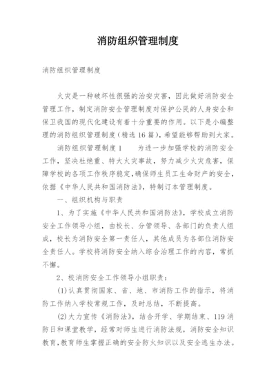 消防组织管理制度_1.docx