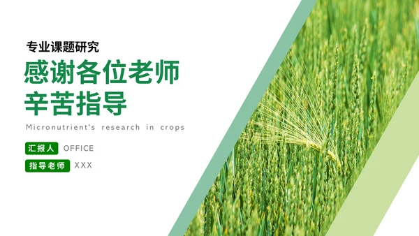 微量元素农作物课题研究汇报通用PPT模板