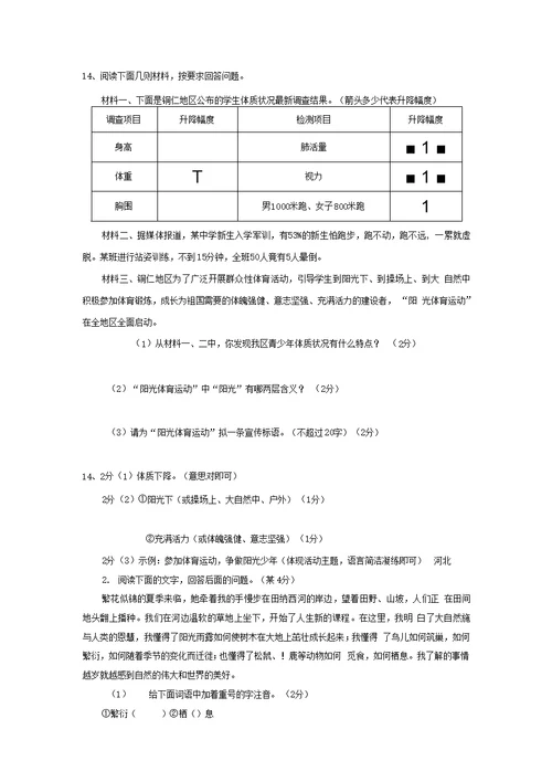 中考语文总复习试卷分类冲刺训练基础知识