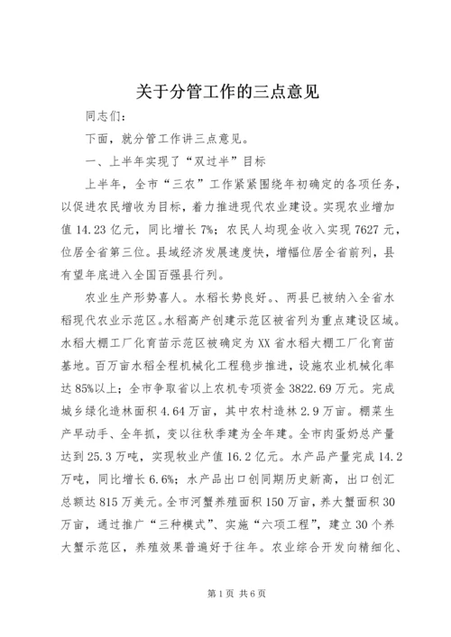 关于分管工作的三点意见.docx
