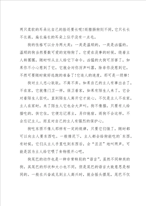 关于狗的说明文作文集合七篇