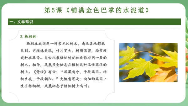 统编版2024三年级语文上册第二单元复习   课件