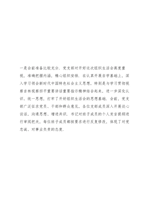 领导组在参加专题民主生活会上的点评发言提纲.docx