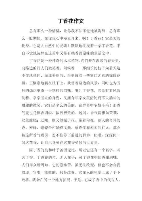 丁香花作文-20.docx