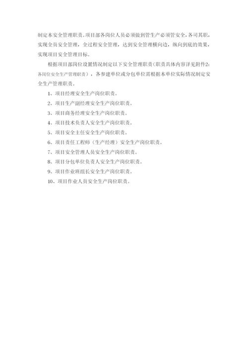 项目安全生产管理策划书.docx