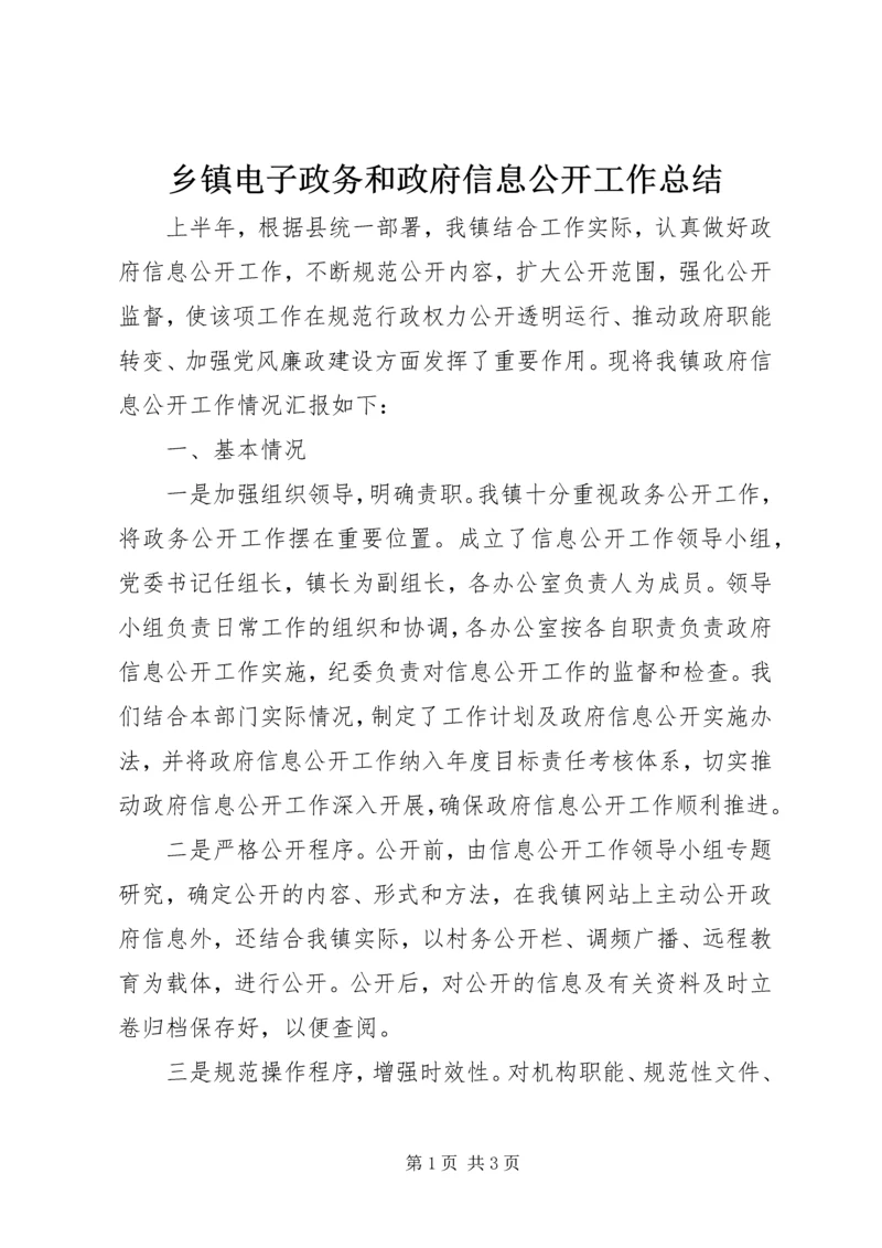 乡镇电子政务和政府信息公开工作总结.docx