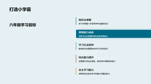 六年级学习解析