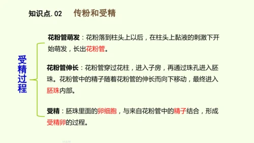3.1.3开花和结果-七年级生物下学期同步精品课件（2024人教版）(共27张PPT)