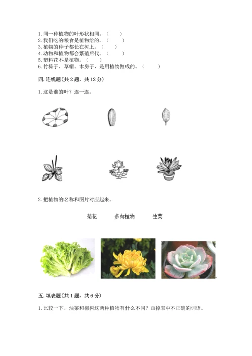 教科版科学一年级上册第一单元《植物》测试卷及参考答案【达标题】.docx