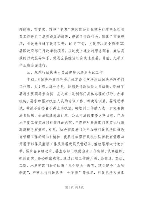 县年度行政执法责任制工作自查报告.docx