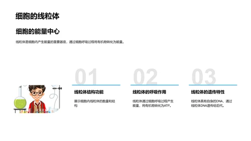 细胞学基础讲座PPT模板