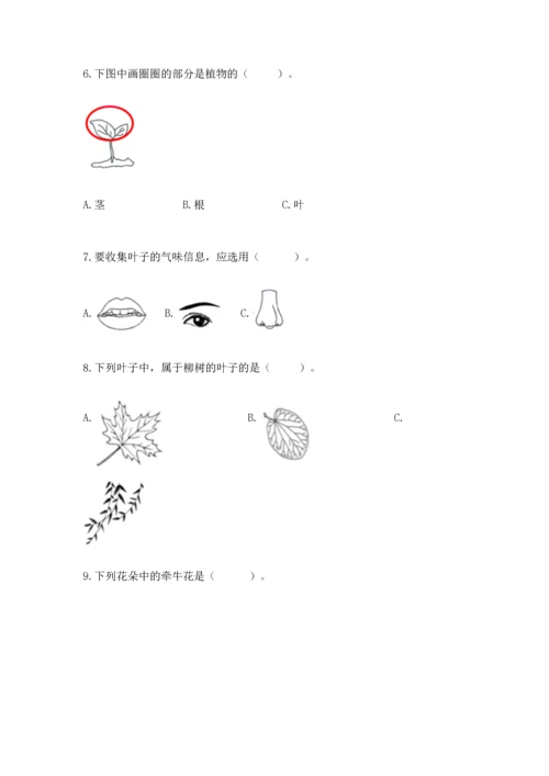 教科版一年级上册科学期末测试卷含答案（巩固）.docx