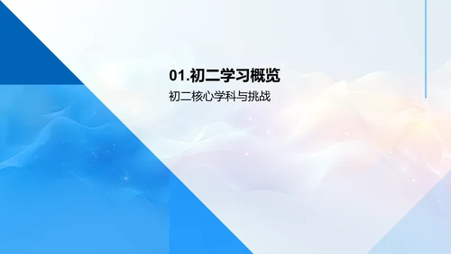 初二学习策略报告PPT模板