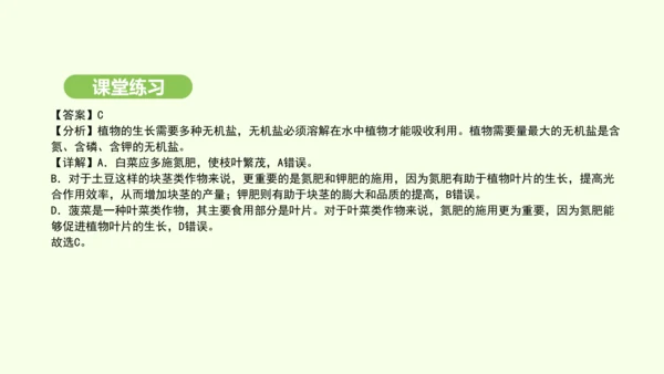 第三单元-第一章-第二节-植株的生长课件-2024-2025学年七年级生物下学期人教版(2024)(