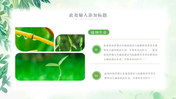植物生长绿芽小树苗生长发芽成长ppt模板