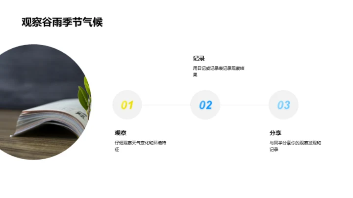 探索谷雨的气候秘密