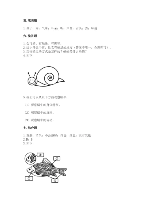 教科版一年级下册科学期末测试卷及参考答案（典型题）.docx