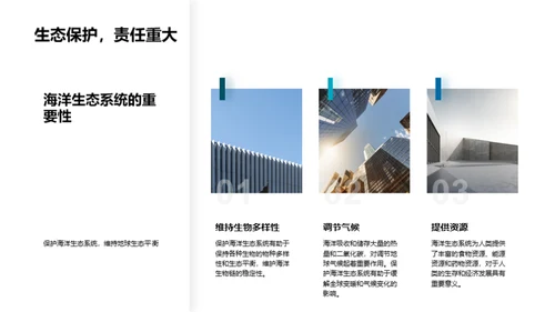 海洋污染与生态保护