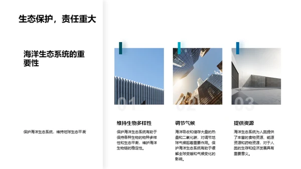 海洋污染与生态保护