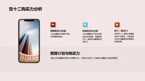 双十二家居消费洞察