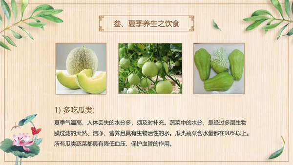 三伏养生中医食疗PPT模板