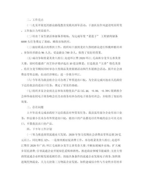 精编之年度商务个人总结范文.docx